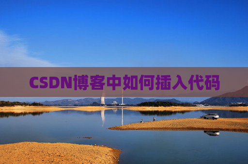CSDN博客中如何插入代码